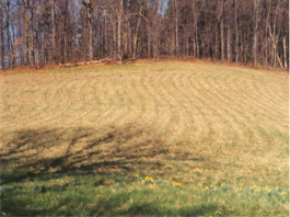 Busby Tractor Services field mowing services